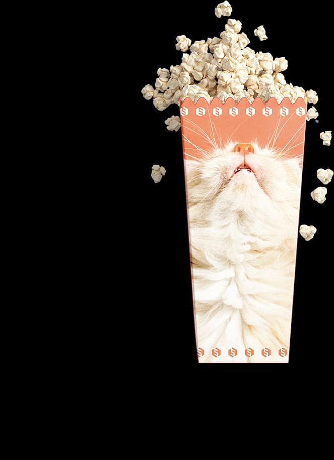 Examples of Sharetribe powered marketplaces.